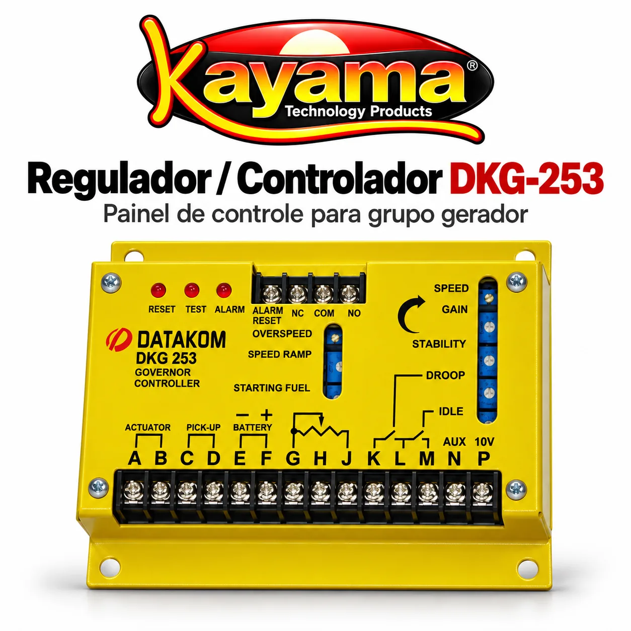 Regulador de Velocidade para GMG DKG-253 Kayama — imagem 4